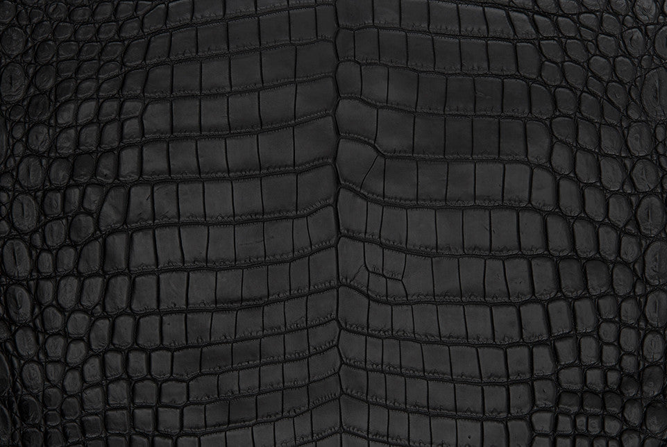Lorraine (Nile Crocodile)