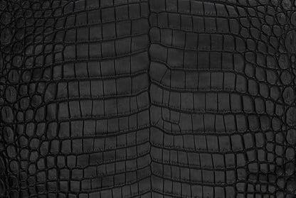 Lorraine (Nile Crocodile)